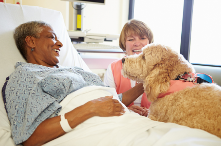 Smelling Cancer: How Medical Detection Dogs Can Inspire Breath Analysis