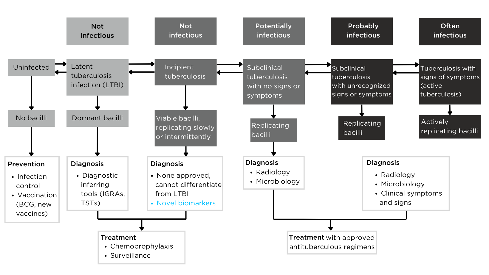 tuberculosis flow chart