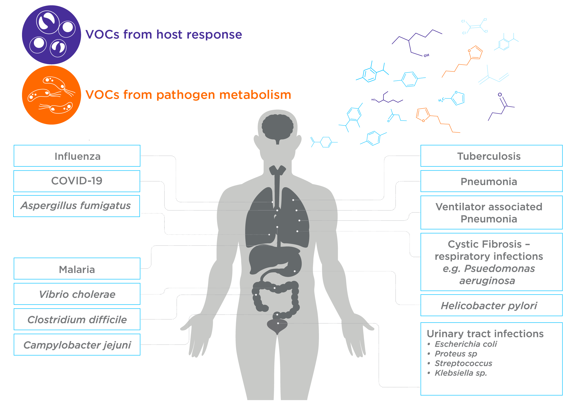 A schematic indicating the different origins of VOCs in the breath associated with pathogens, from metabolism or from the host response. Some examples of the different infections that have been associated with breath VOC changes are shown.