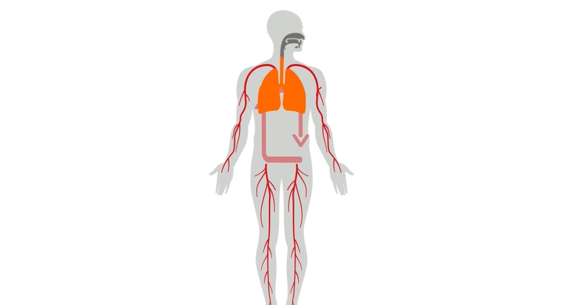 VOCs can originate from various parts of the body and travel through the bloodstream to the lungs. 