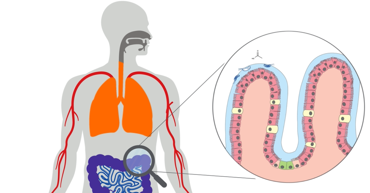 Gut microbiome activity can also be measured in the breath. This includes the volatile short chain fatty acids, which have many links to health and disease. 