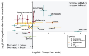 microbiota graphic