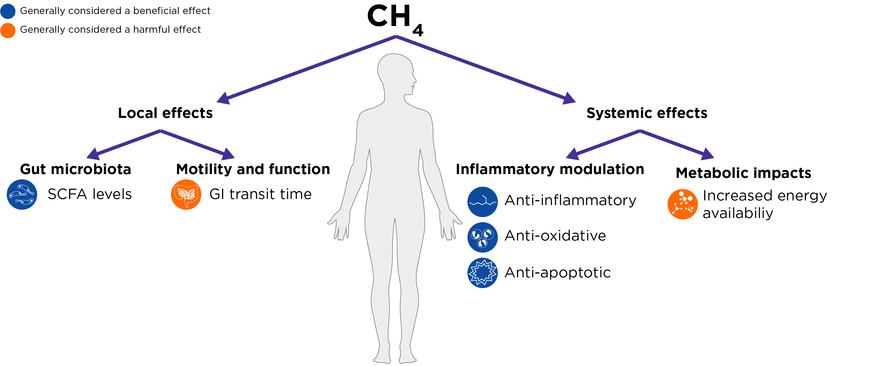 potential effects of methane in the body