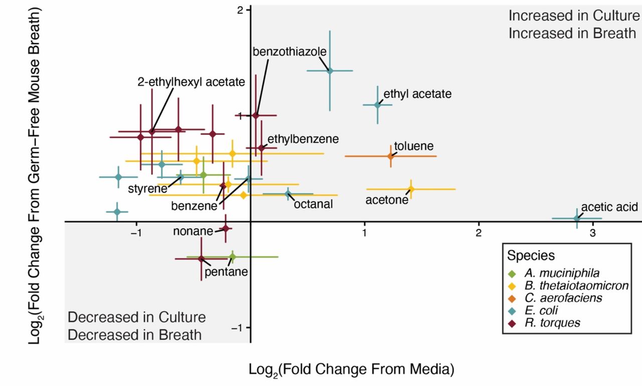 Comparing the volatilome of anaerobic culture headspace to the exhaled breath of monocolonized mice identifies potential gut microbiota-derived breath VOCs