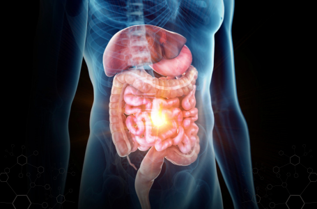 The impact of gut dysbiosis on Liver Cirrhosis, Pancreatitis, Parkinson’s, and Cystic Fibrosis